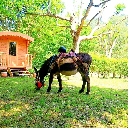 Le Moulin Du Luech Campingplatz *